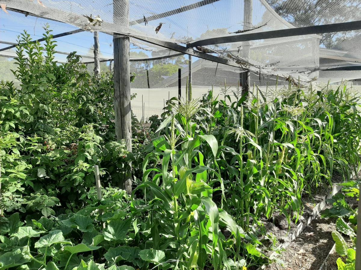 Spring Beach Garden Retreat Екстериор снимка